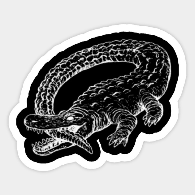 Catfish and the Bottlemen Band Sticker TeePublic